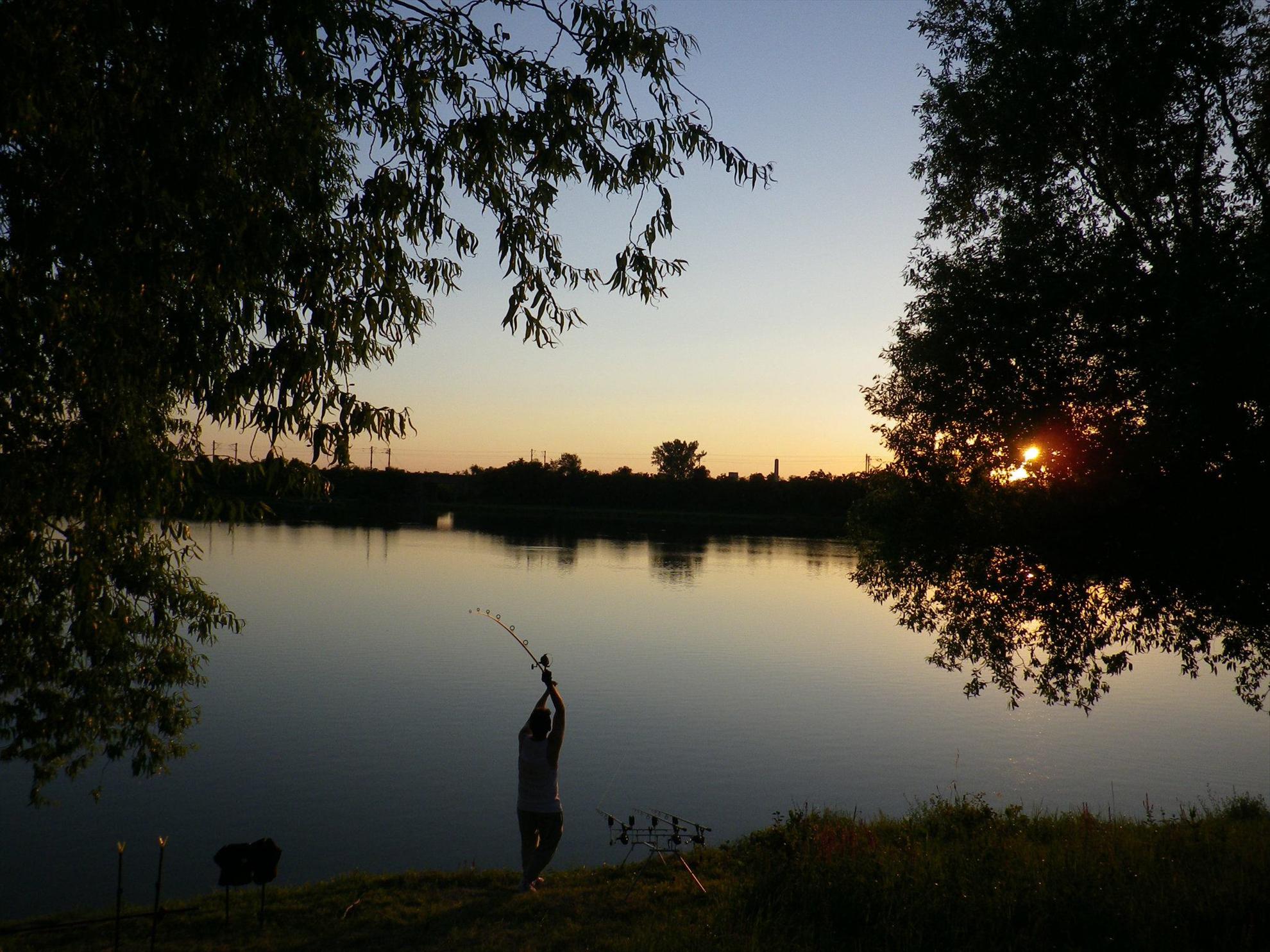 fsh - 470596462813413747883219849078o.jpg